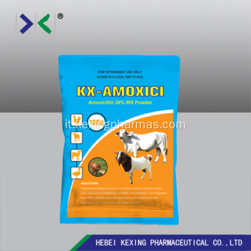 Polvere di soluzione acquosa di amoxicillina animale